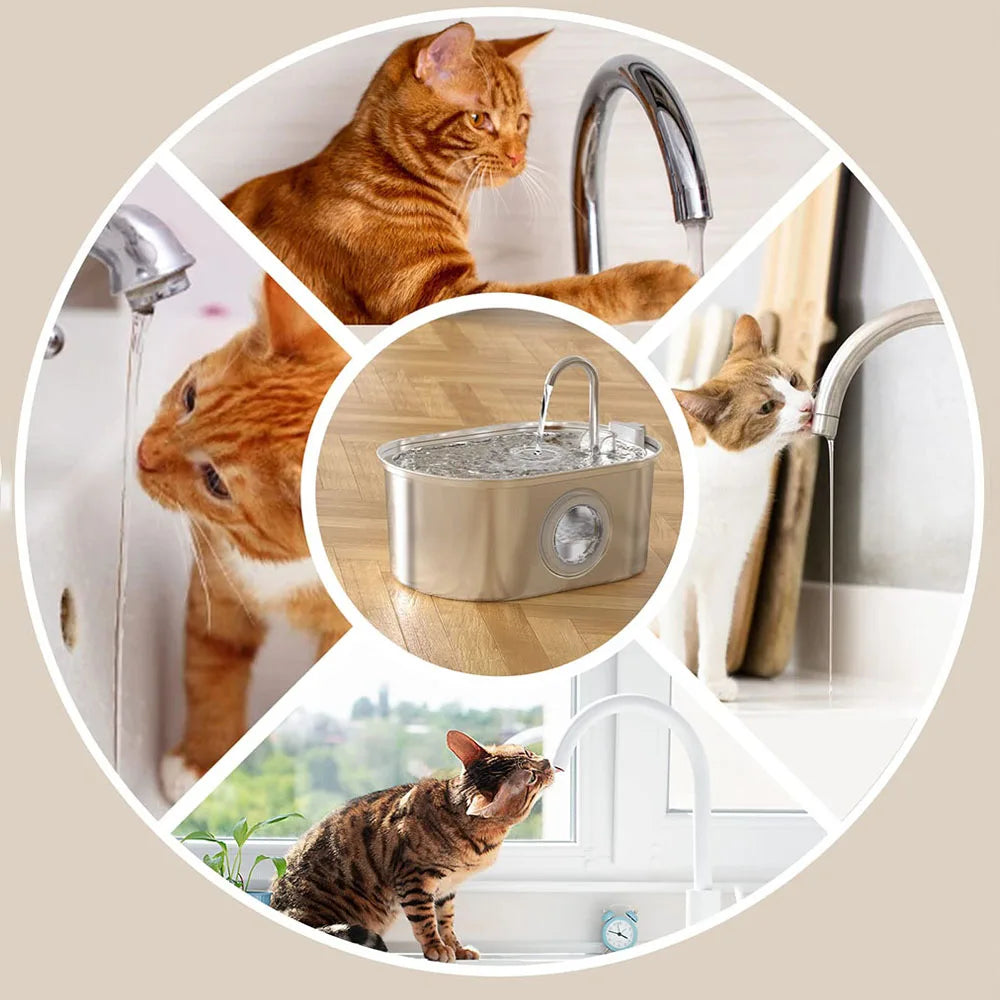 Stainless Steel Cat Fountain Automatic Pet Water Feeder