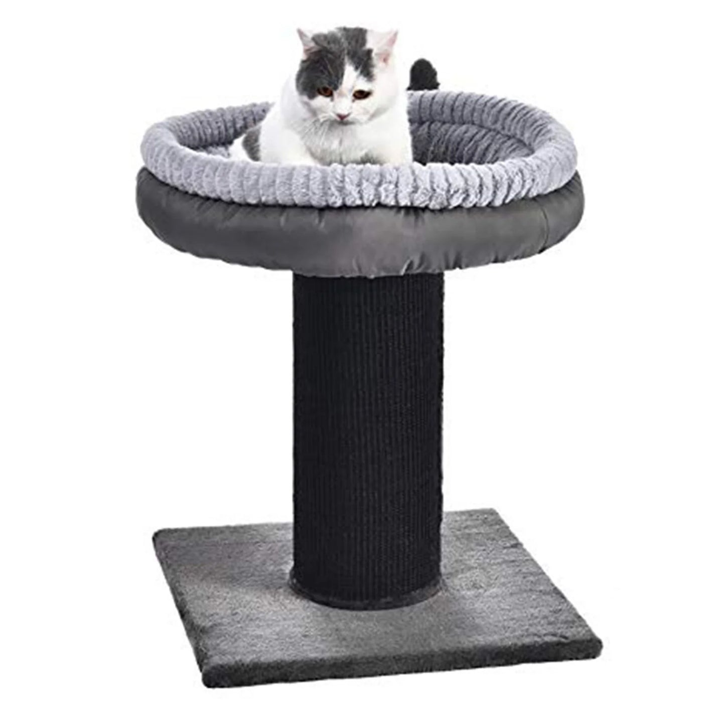 Large Cat Scratching Post with Platform Bed