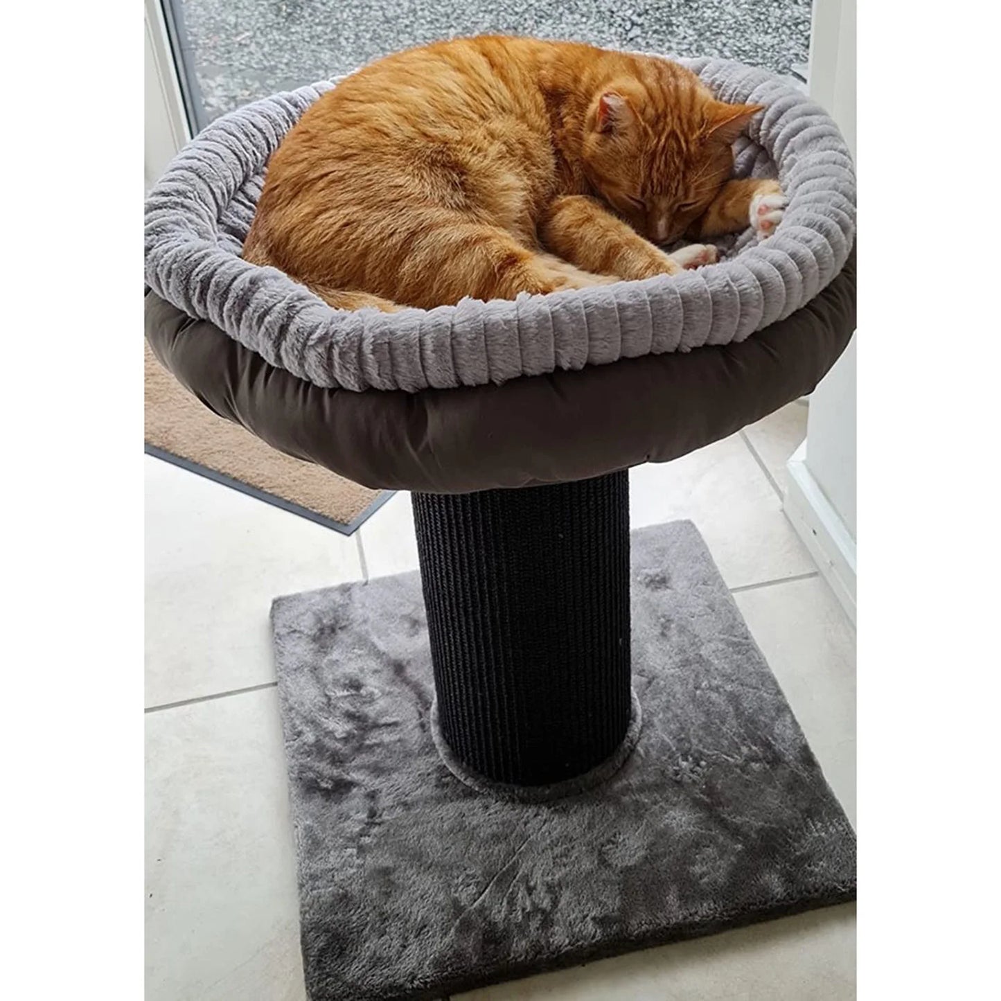 Large Cat Scratching Post with Platform Bed