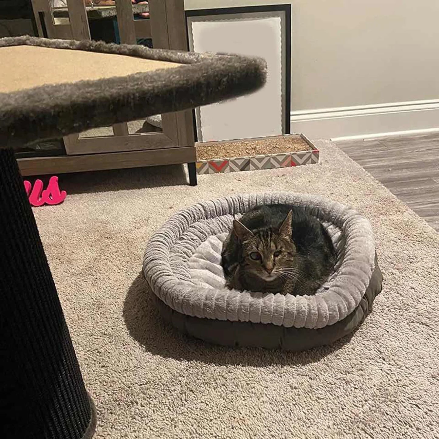 Large Cat Scratching Post with Platform Bed