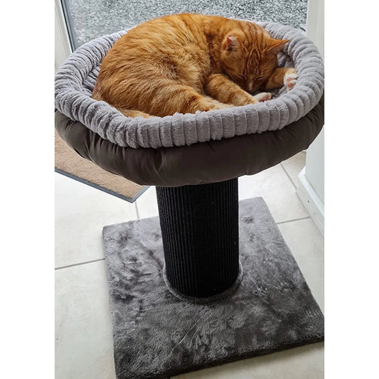 Large Cat Scratching Post with Platform Bed