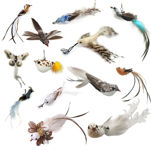 Handfree Bird/Feather Cat Wand
