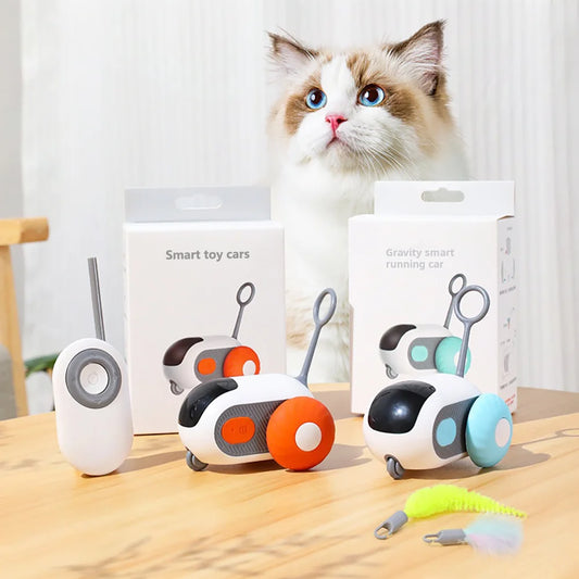 Smart Cat Play car
